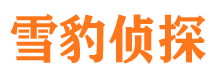 保靖侦探公司